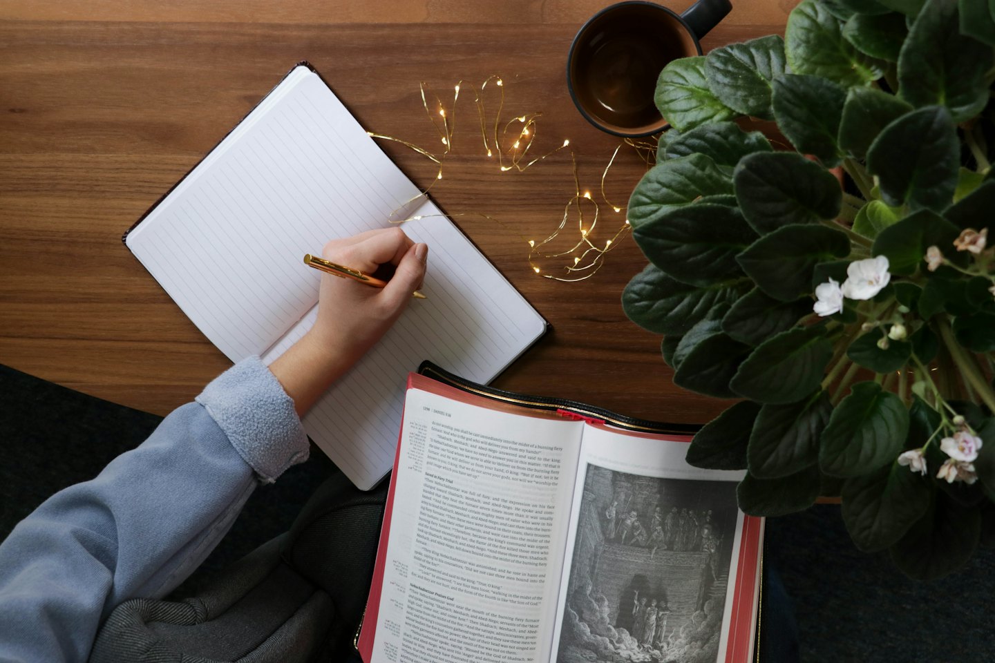 Person writing in a notebook next to books and plants.